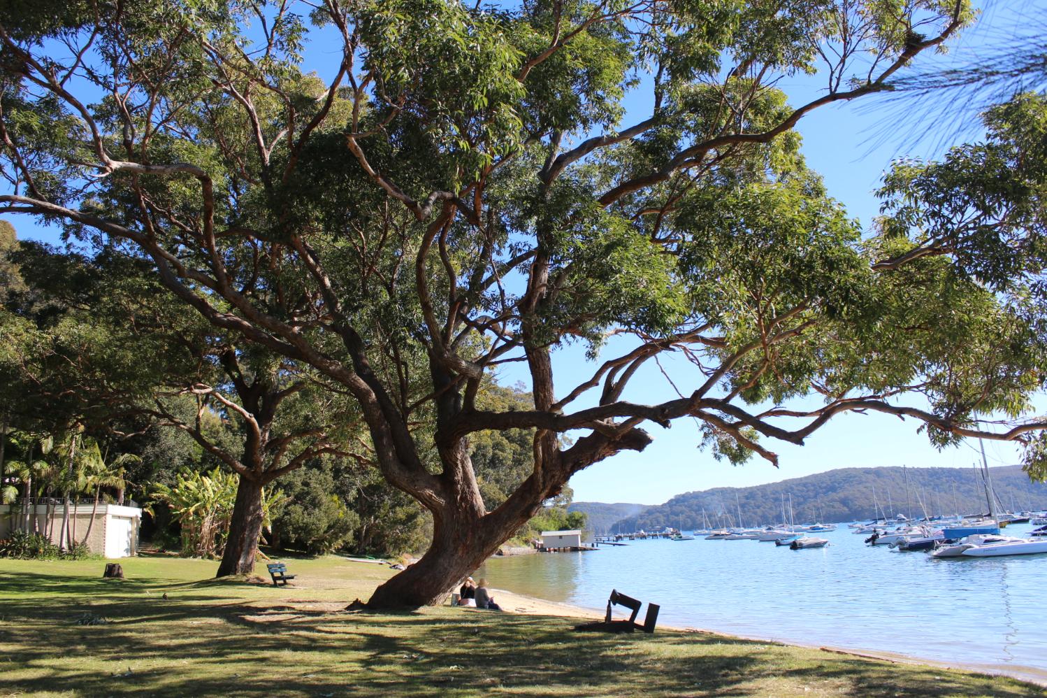Pittwater Online News